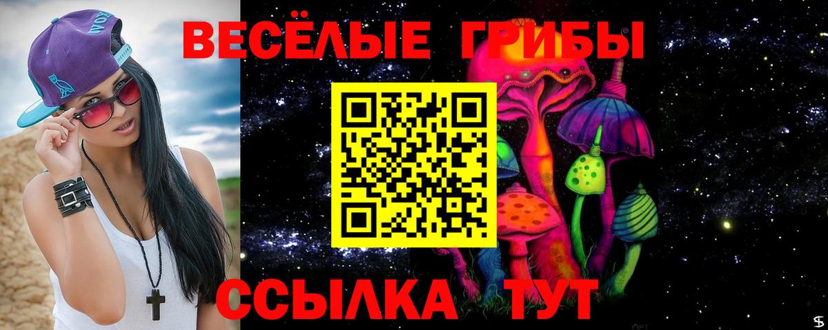 Видное  Галлюциногенные грибы Psilocybe  Вход с VPN 